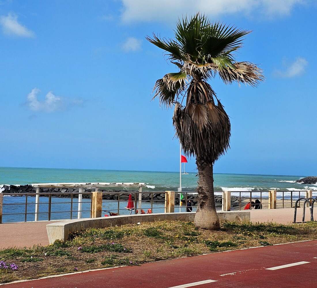 Il lungomare di Ostia, a pochi passi dalla casa